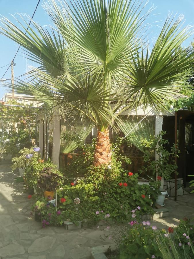 Patra Rooms Skala Prinou Prínos Dış mekan fotoğraf