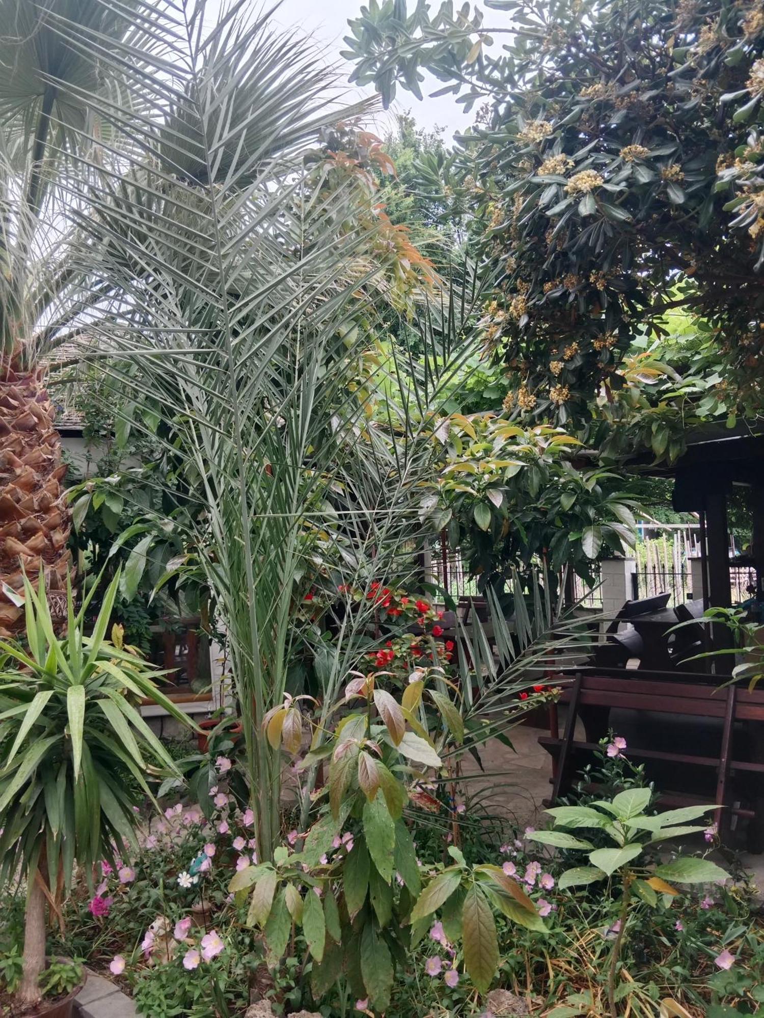 Patra Rooms Skala Prinou Prínos Dış mekan fotoğraf