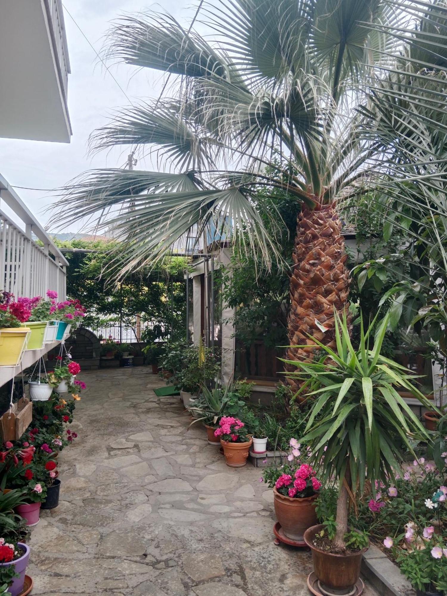 Patra Rooms Skala Prinou Prínos Dış mekan fotoğraf